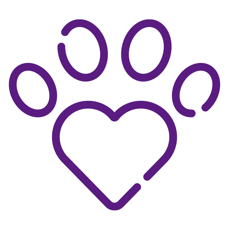 Material De Apoyo Lmar