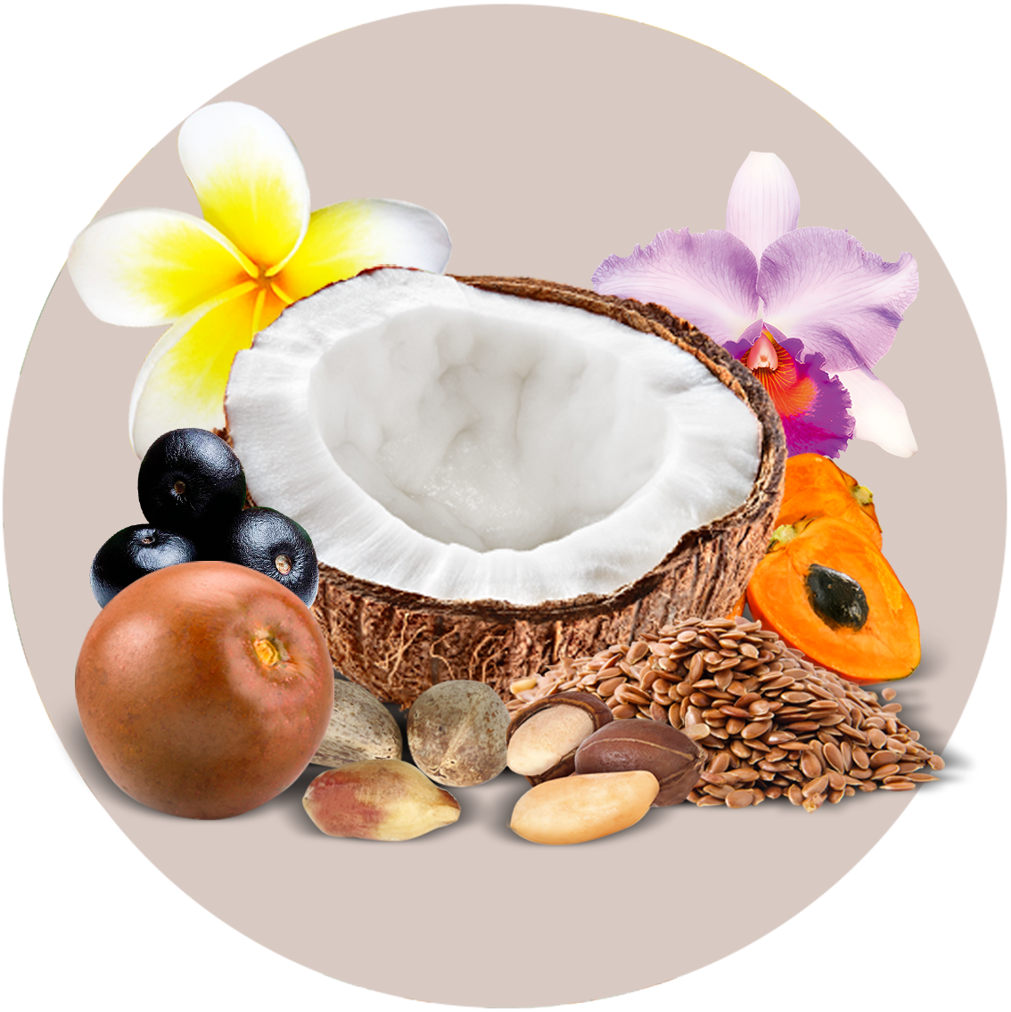 Imagen de Apoyo Etniker